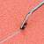 ChatGPT Image 24 wrz 2026, 20_17_25.png